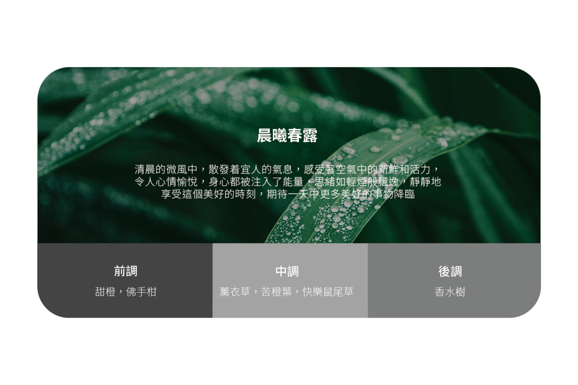背景為綠葉與水滴。前方為 JOWUA Taiwan 通用型車用香氛的清新春露香氣中文說明,以及前、中、基調的獨特香氣。.