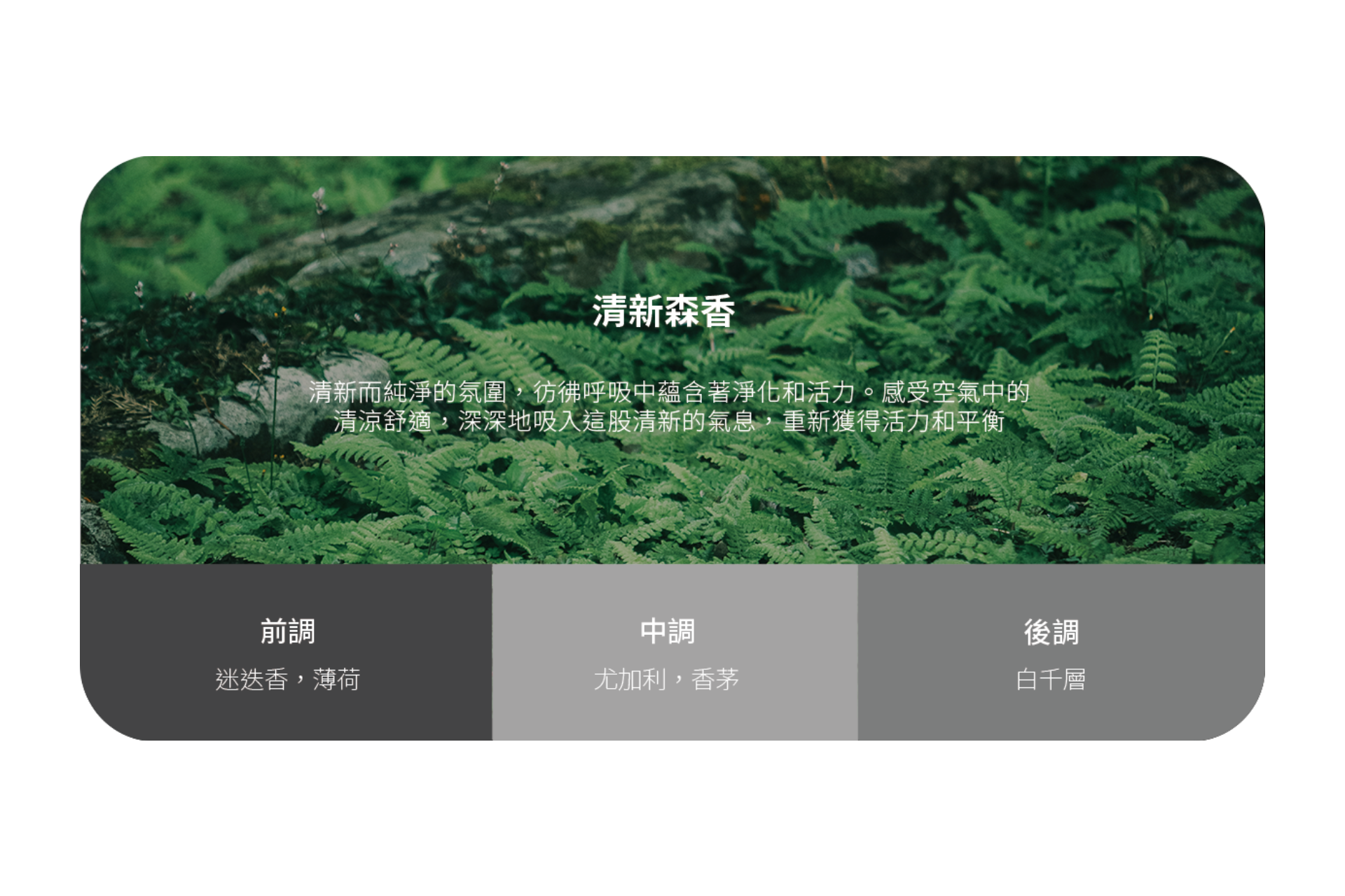 綠色的蕨類植物覆蓋森林地面。疊加的中文文字介紹 JOWUA Taiwan 的通用型車用香氛，帶有清新的森林氣息，特色是植物性精油，並在漸層條上標示前調、中調、後調。.